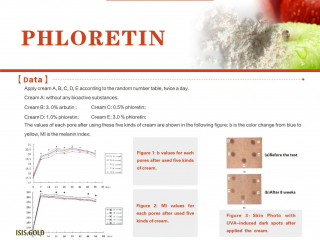 PHLORETIN STUDY RESULTS