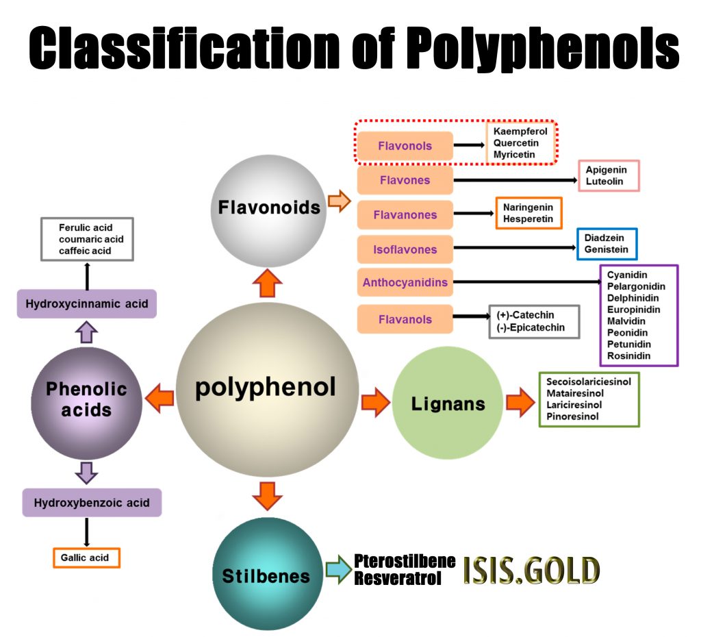 POLYPHENOLS